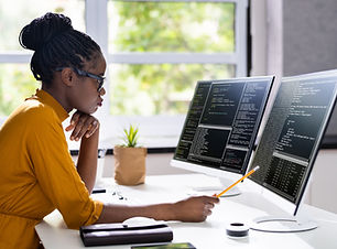 Software Programmer
