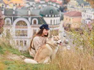 How Much Does an Animal Health Certificate Cost in the UK? (2026 Guide)