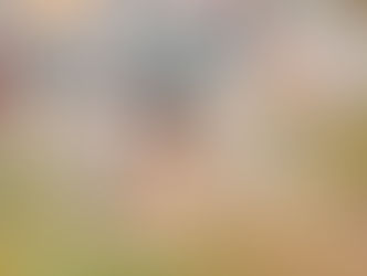 Stay Curious: The Transformative Power of Exercise for Your Brain and Body