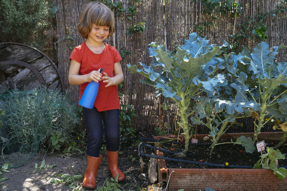 Child helping with plants