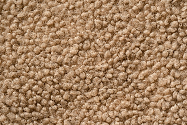 Beige Carpet Texture