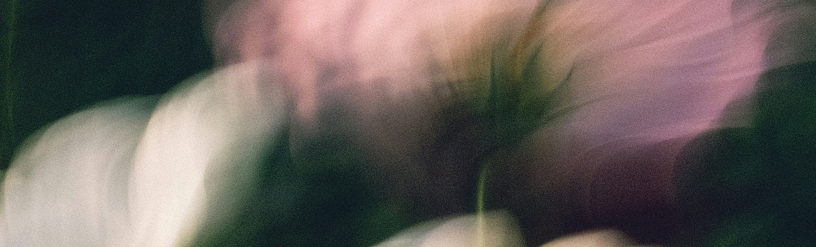 Abstracte bloemennevel