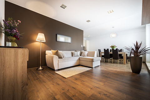 A luxurious living room with an attached dining area 