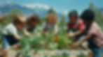 Children Gardening Together