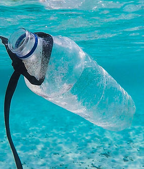 pierre-chatel-innocenti-Lk-nu_hX6ms-unsplash 2.png