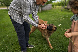 Dog Behaviour Courses & Qualifications
