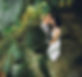 Hochzeitspaar Küssen