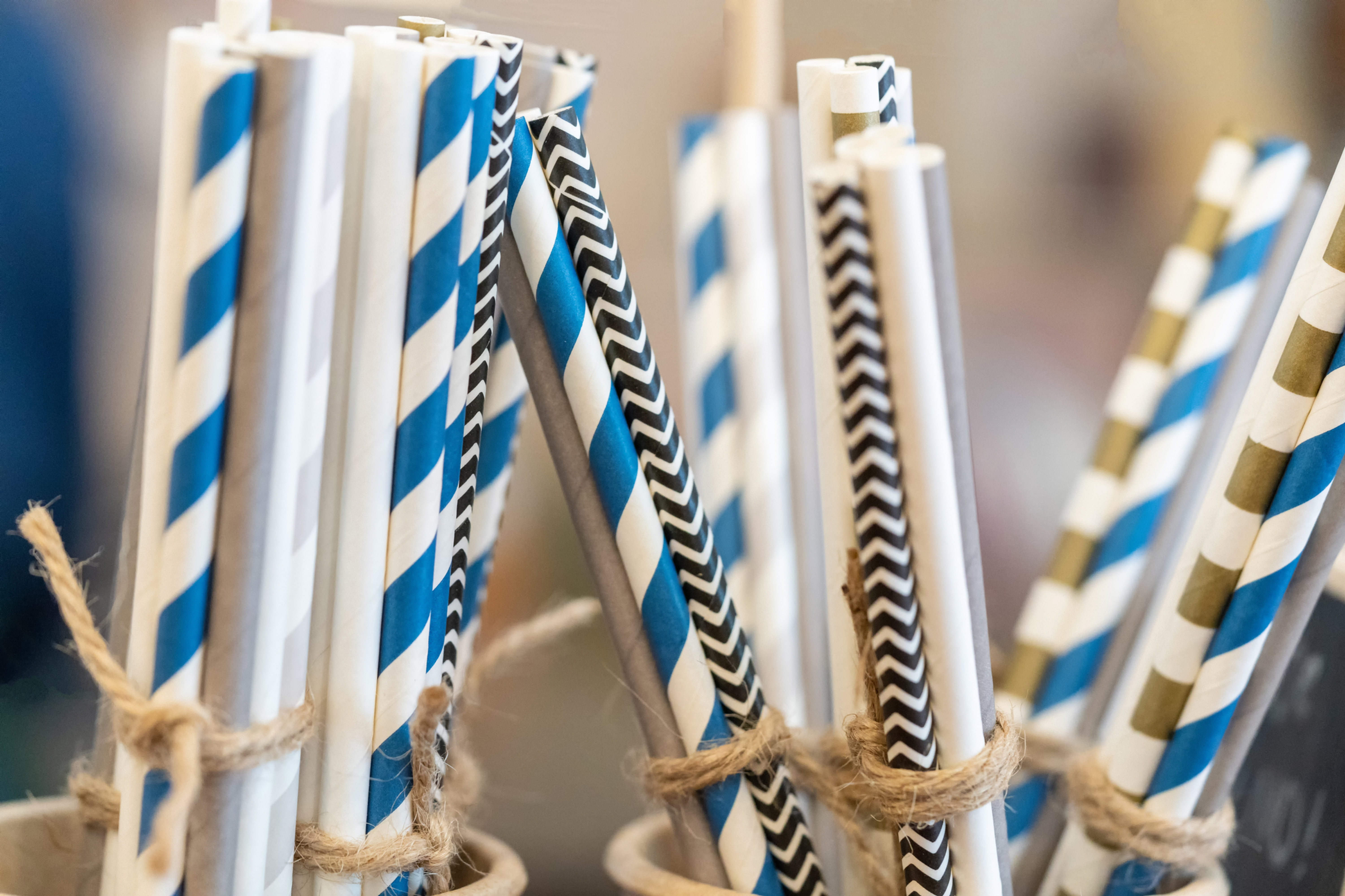 Biodegradable Straws