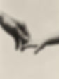 Parent and Baby Hands