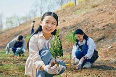 People Planting Trees