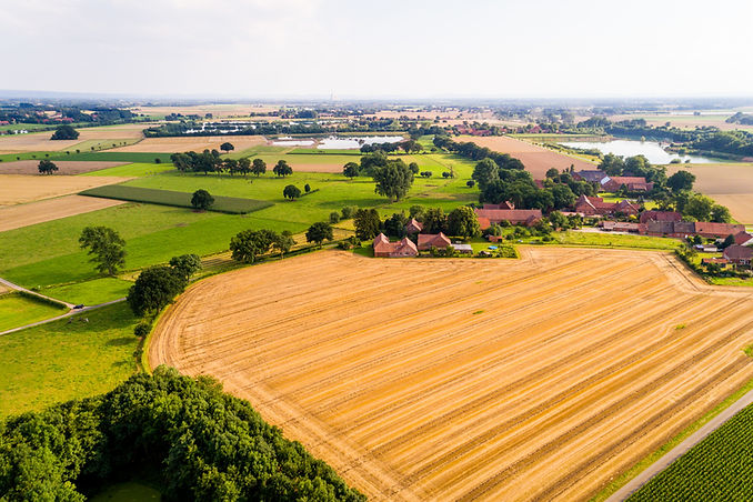 Terreni agricoli