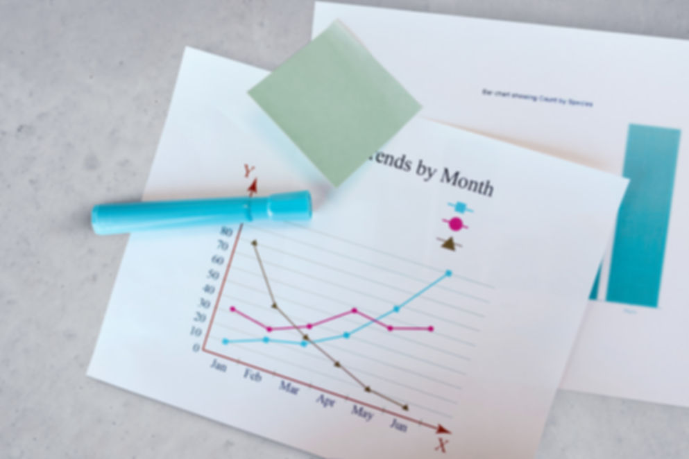 E-book - Consultoria de Investimentos