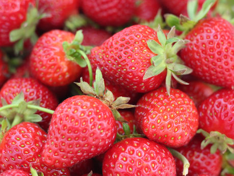 Erdbeeren sind gesund und machen schlank