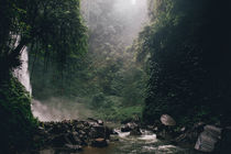 Costa Rica: A Creator Expedition