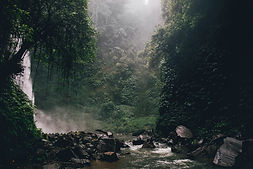 Waterfall in nature