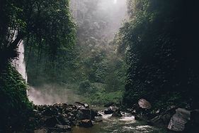 Rainforest Waterfall Scene