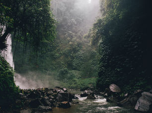 The Transformative Power of Daily Prayer: Aligning with God’s Kingdom