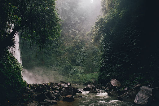 Rainforest Waterfall Scene