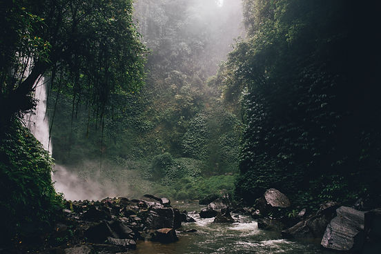 Rainforest Waterfall Scene