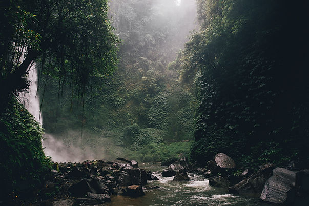 Waterfall in nature