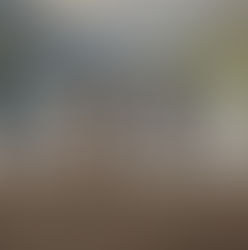 Six hikers with backpacks stand by a tranquil lake, surrounded by forested mountains. Overcast skies create a serene mood. travel insurance