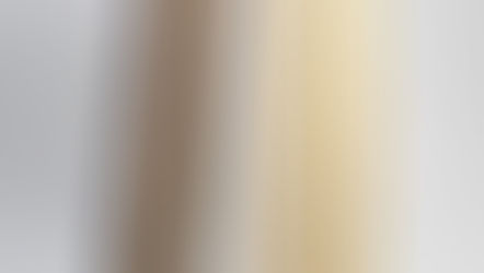 2024 Parker School Yearbook Predictions