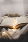 Open Book Lights