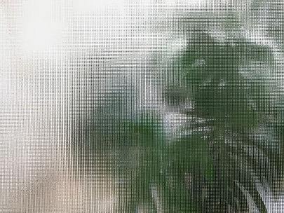 Blurred Glass View