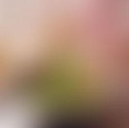 Die Kunst des Salat Mixens - Welche Zutaten passen zusammen?