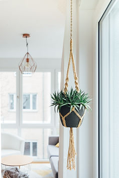 Plant Hanger