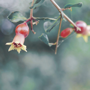 שיפור הקורס לפני סקר הוראה בסוף הסמסטר