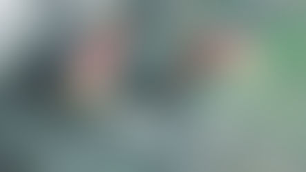 השתלשלות מנהגי ט"ו בשבט: מביטול תקנות חז"ל ועד עבודה-זרה