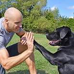 Doggie Handshake
