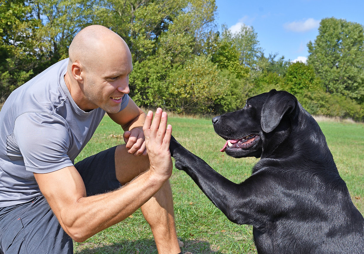 Doggie Handshake