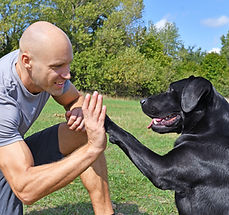 Doggie Handshake