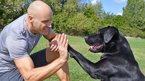Therapeutic Interventions 