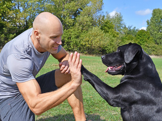 Doggie Handshake