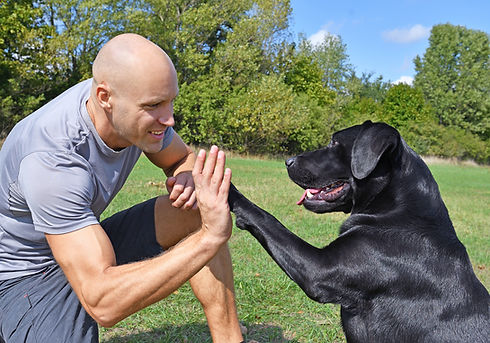 Doggie Handshake