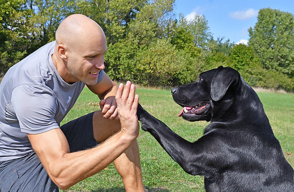 Top-Gun-Dog-Training-Blog-man-and-dog-high-fiving-in-Huntsville-park