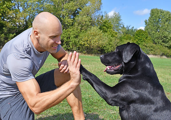 Doggie Handshake
