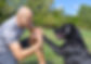 Doggie Handshake