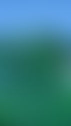 結合、再生と内住の違い