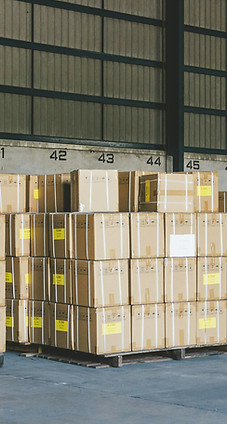 Wholesale, distribution, freight transportation
