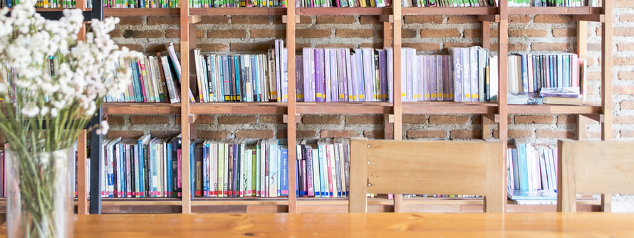 Library Bookshelves