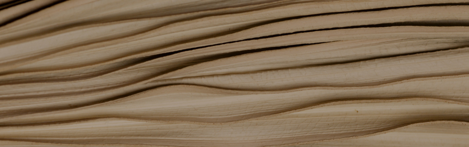 Close-Up Book Pages