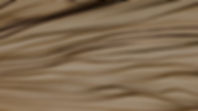 Close-Up Book Pages