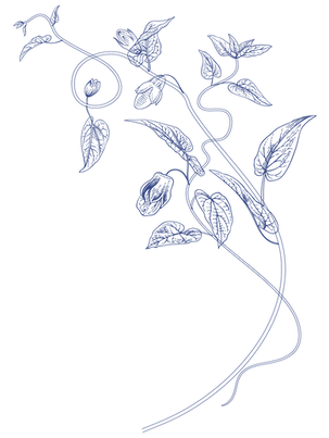 blue floral