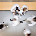Medical Team Interaction