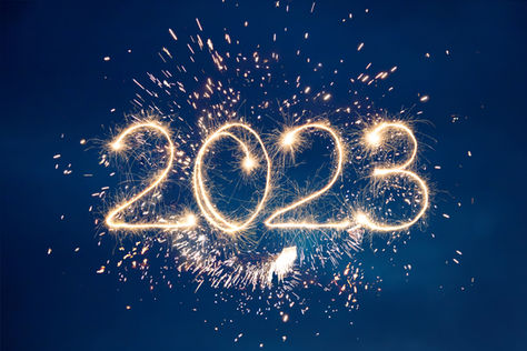 New Year, New Creatures