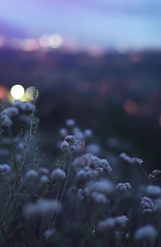 Wholesale Perfume Store Fragrance Offer Deals Wholesale Perfume Store Fragrance Offer Deals